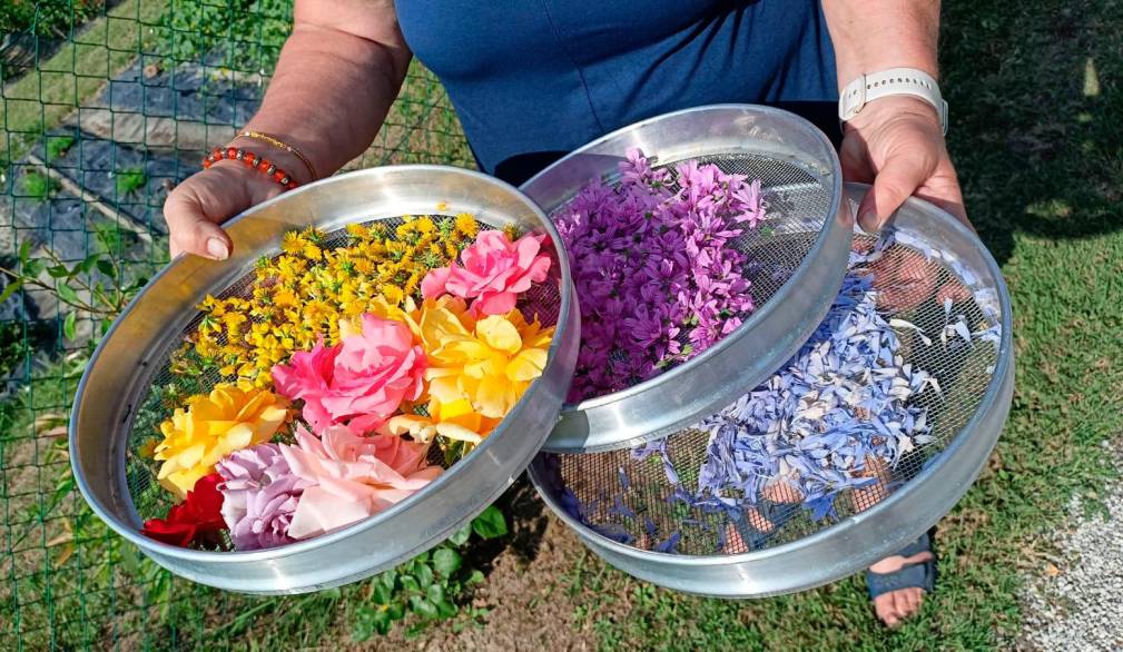 A Ca’ Tron un pezzo di Provenza con “La grande casa rosa”