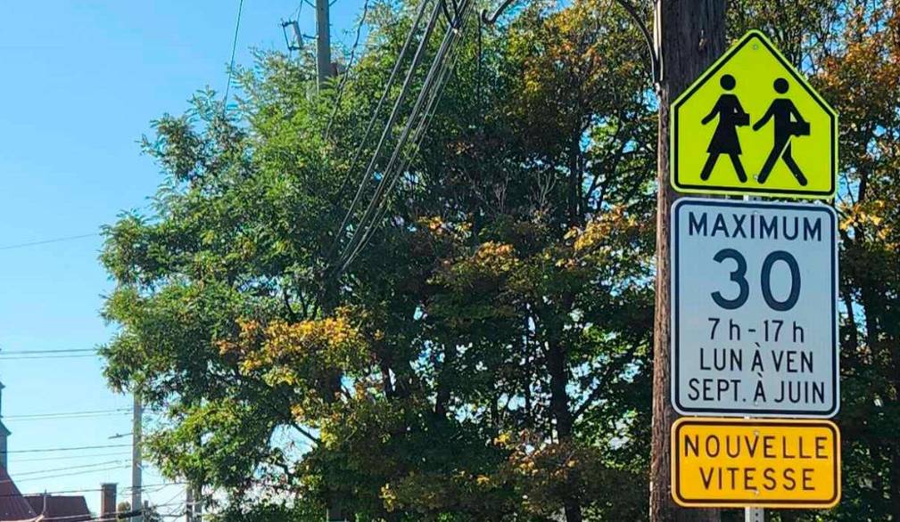 Papa Francesco nella Giornata della Piace: “Chi ferisce una sola donna profana Dio”