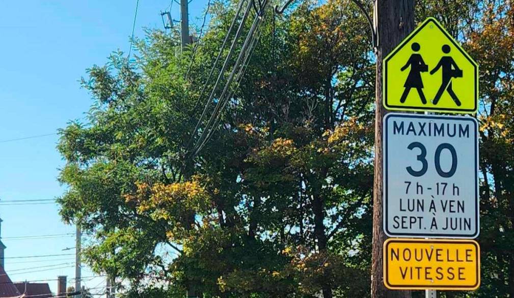 Papa Francesco nella Giornata della Pace: “Chi ferisce una sola donna profana Dio”