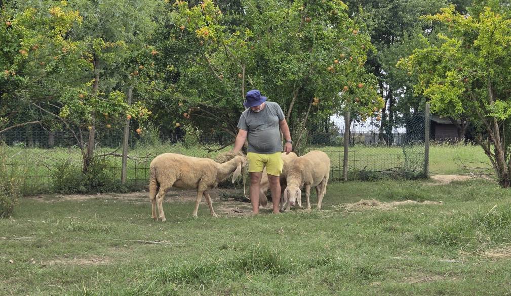 A Mogliano c’è un’ “arca di Noè”
