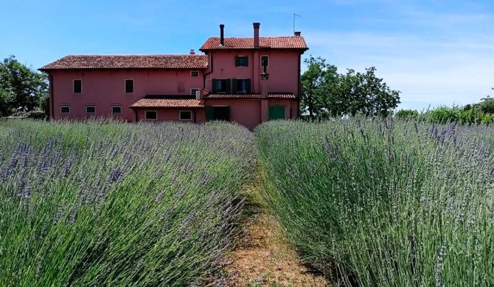 A Ca’ Tron un pezzo di Provenza con “La grande casa rosa”