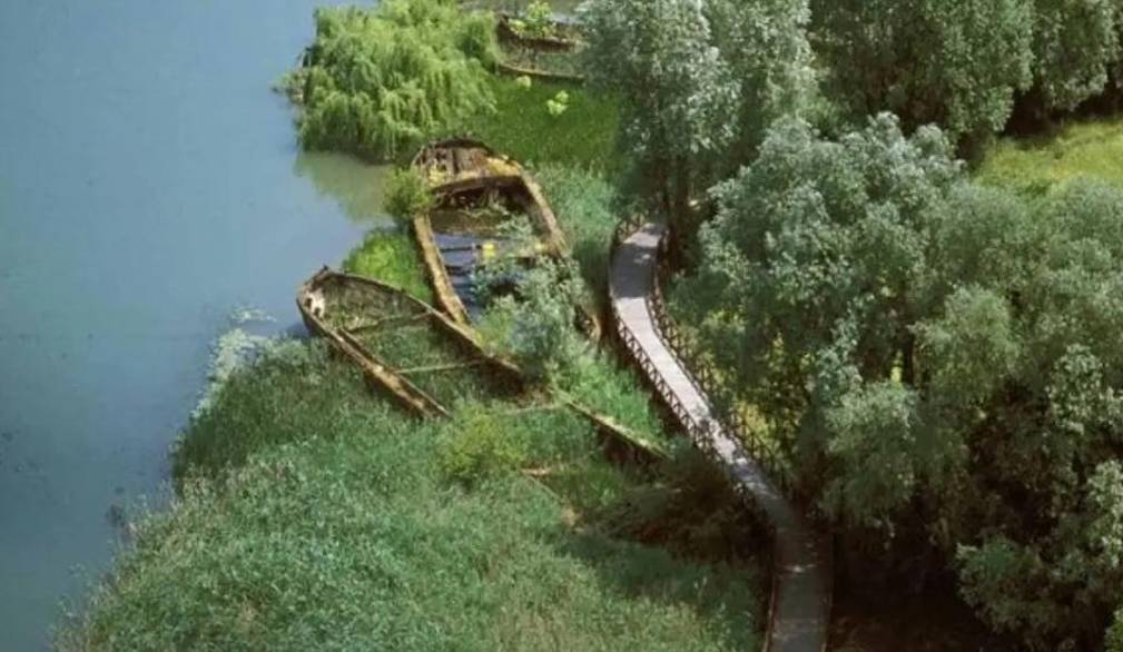 Silea, cimitero dei Burci: la sindaca Cendron chiede chiarezza sul futuro