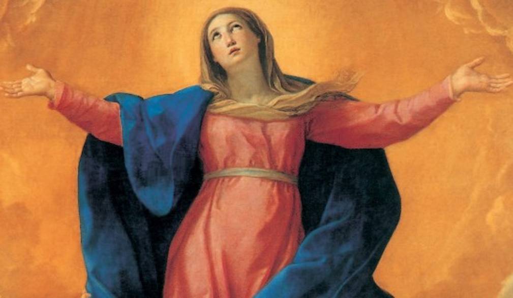 Assunta, storia di libertà vissuta alla luce della bellezza