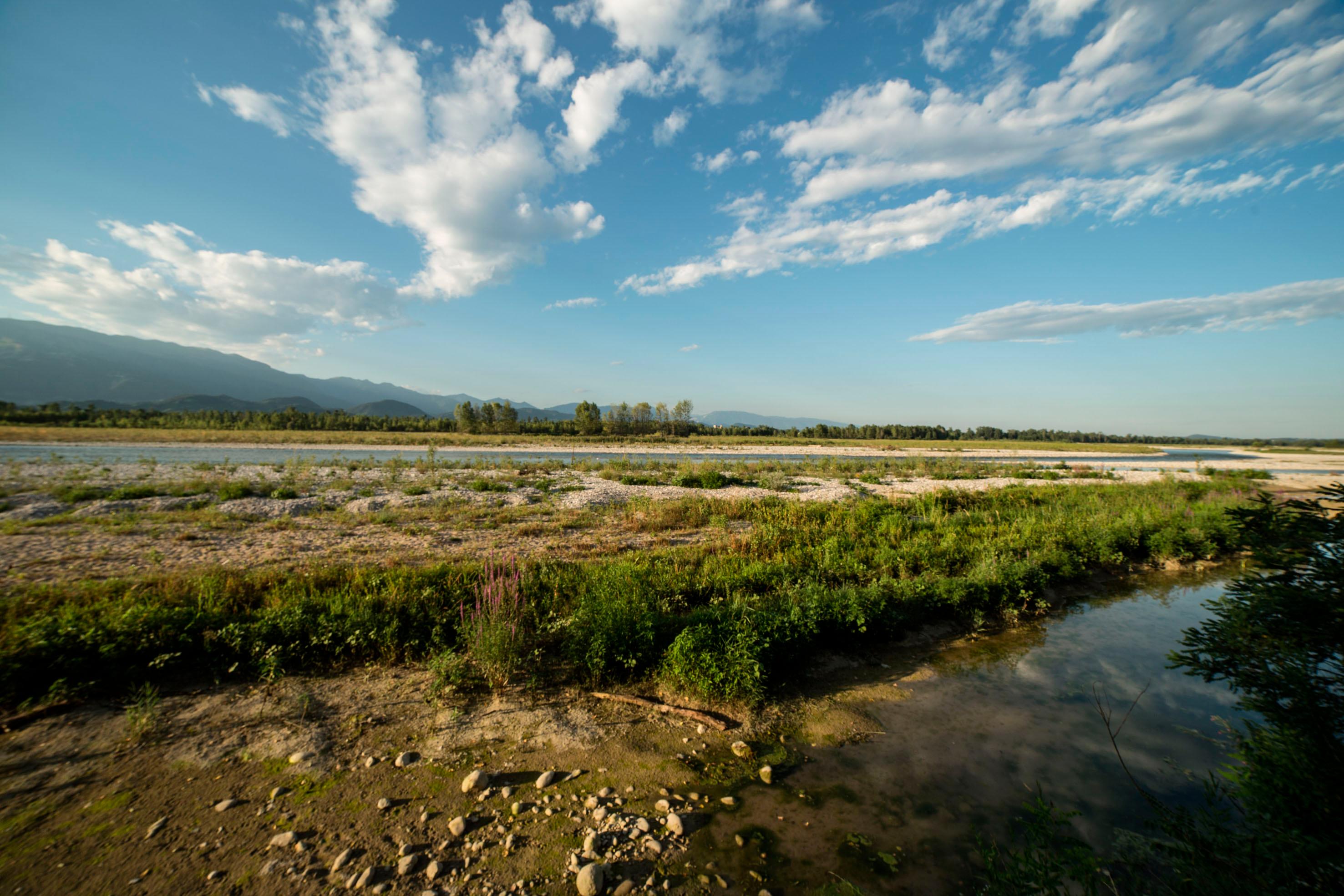 Piave: stop al bacino