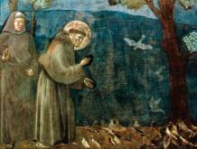 San Francesco e il Cantico che ci mostra la via della conversione ecologica
