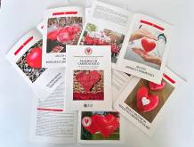 Prendersi cura del cuore, vademecum dell’Ulss 4