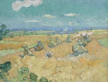 Il ritorno di Goldin a Treviso: sessanta opere in mostra, da Picasso a Van Gogh