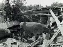 Cinquant’anni fa in Friuli i giovani volontari di Treviso