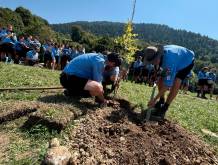 La piantumazione del faggio, simbolo di speranza, a Trichiana.