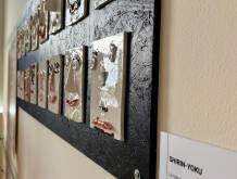 Treviso: negli spazi dell’Oncologia cinquanta opere in ceramica create da ragazzi, anziani, persone con disabilità