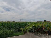 San Zenone: il drone misterioso che debutta in agricoltura