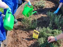 Asolo, orto didattico alla scuola primaria