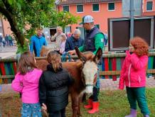 Monigo: torna la Festa della fragola