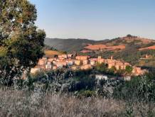 La Via di S. Francesco