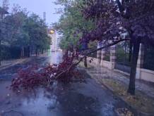 Tempesta sulla Marca: danni anche a Treviso