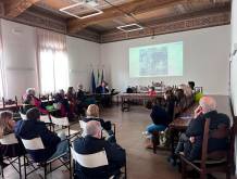 Zero Branco: il Comune vigila sulla “salute” degli alberi