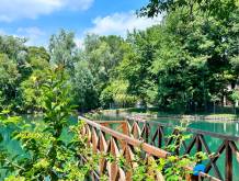 Proteggere la biodiversità del fiume Sile