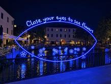 4passiFestival accende Treviso con le installazioni luminose dell’artista Aliteia