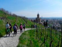 Successo fragile e futuro assai incerto per il turismo veneto