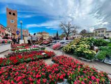 Domenica 12 aprile torna “NoaleinFiore”: a misura di famiglie