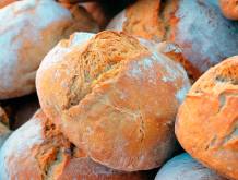 Quaresima: al via la colletta diocesana “Un pane per amor di Dio”