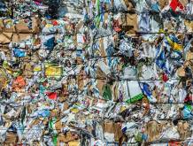 In Veneto raccolte 290.000 tonnellate di carta e cartone