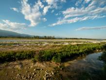 Piave: stop al bacino