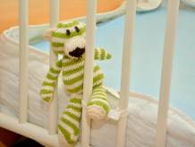 Giovani nella Marca Trevigiana in continuo calo (-1,3%)