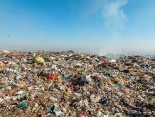 Rapporto Ecomafia di Legambiente: in Veneto 1.186 reati ambientali accertati nel 2025
