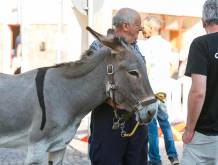 Trebaseleghe “si ferma” per la fiera dei mussi