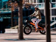 Il Veneto “si muove”