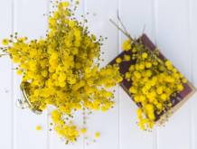 8 marzo: gli eventi nel territorio