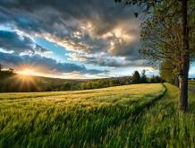Pregare e celebrare per il Creato