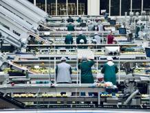 Nel 2025 in Veneto export a 49,4 miliardi, ma mancano i lavoratori