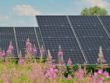 Mogliano: sul fotovoltaico i cittadini fanno ricorso alla Corte europea dei diritti dell’uomo