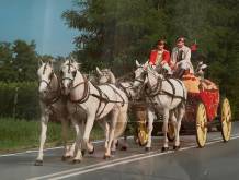 Arti&amp;mestieri: il cocchiere sulle rive del Piave. Che sogno salire in carrozza!