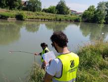 Operazione fiumi di Legambiente: le rilevazione sul fiume Sile
