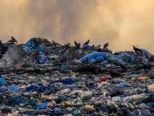 Ecomafia e corruzione ambientale in crescita. Tra le prime città, spunta Venezia