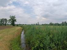 Ampliamento di Veneta Cucine a San Biagio, la preoccupazione di Legambiente