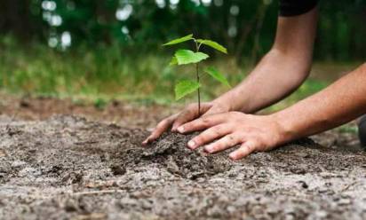 Castellana: l'agenda dei Comuni è sempre più verde