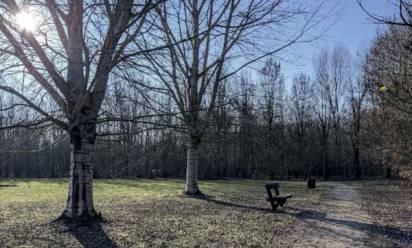 Dieci nuovi ettari di bosco diffuso a San Donà