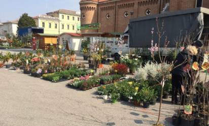 Festa dei fiori a Trebaseleghe