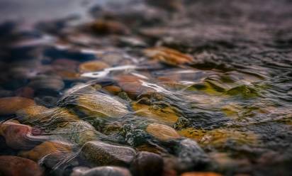 Pfas, nel sangue degli europei: l’allerta di Guarda (Avs)