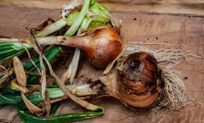 Lo spreco alimentare nelle case italiane vale 6,6 miliardi l’anno