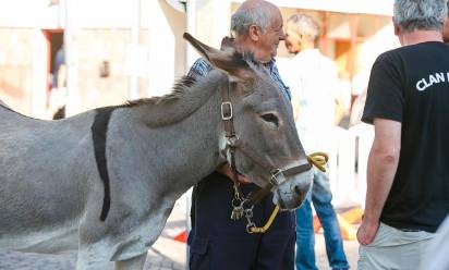 Trebaseleghe “si ferma” per la fiera dei mussi