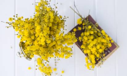 8 marzo: gli eventi nel territorio