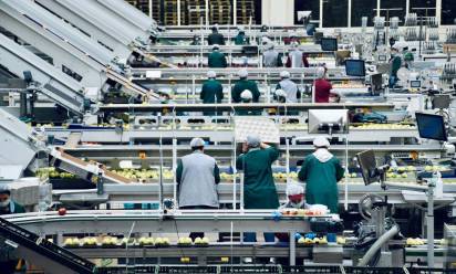 Nel 2025 in Veneto export a 49,4 miliardi, ma mancano i lavoratori