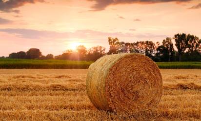 Coldiretti: necessarie precauzioni per evitare i rischi causati dal caldo