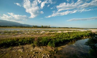 Piave: stop al bacino