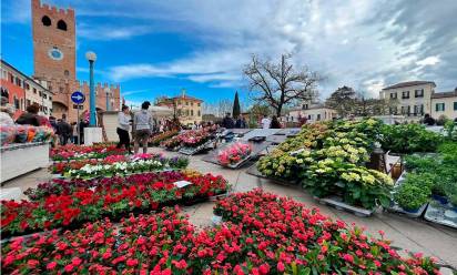 Domenica 12 aprile torna “NoaleinFiore”: a misura di famiglie